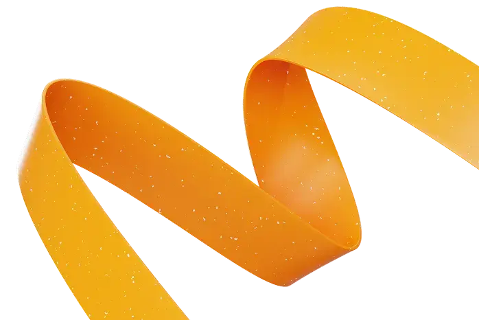 What is Yesim Loyalty Program